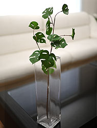 »óǰ ¼¶³×ÀÏ »óǰ ¼¶³×ÀÏ