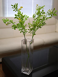 »óǰ ¼¶³×ÀÏ »óǰ ¼¶³×ÀÏ