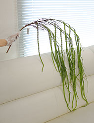 »óǰ ¼¶³×ÀÏ »óǰ ¼¶³×ÀÏ