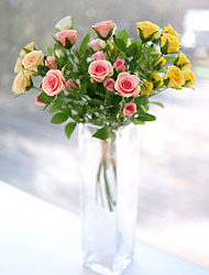 ��ǰ ������