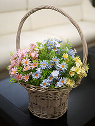 »óǰ ¼¶³×ÀÏ »óǰ ¼¶³×ÀÏ