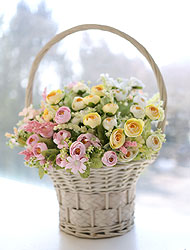 »óǰ ¼¶³×ÀÏ »óǰ ¼¶³×ÀÏ