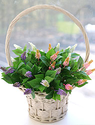 ��ǰ ������