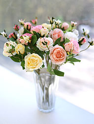 ��ǰ ������