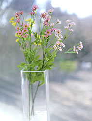 »óǰ ¼¶³×ÀÏ »óǰ ¼¶³×ÀÏ