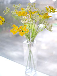 »óǰ ¼¶³×ÀÏ »óǰ ¼¶³×ÀÏ