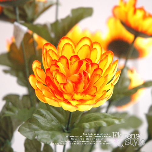 14송이 산소꽃 국화 꽃부쉬 (4색)]